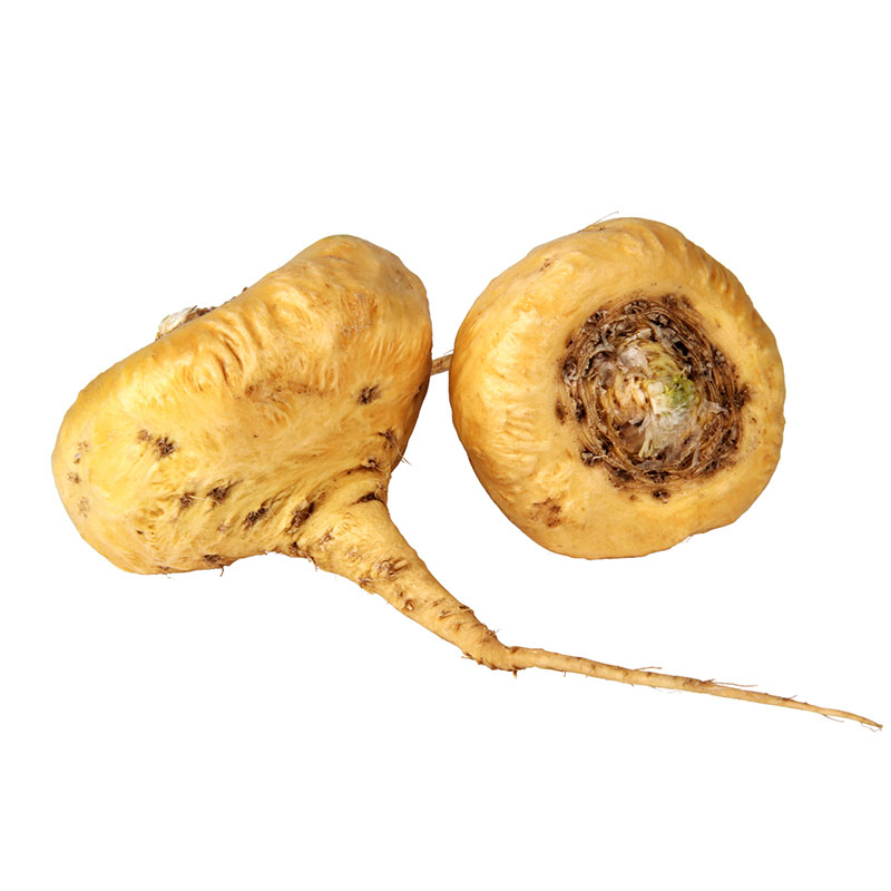 Maca