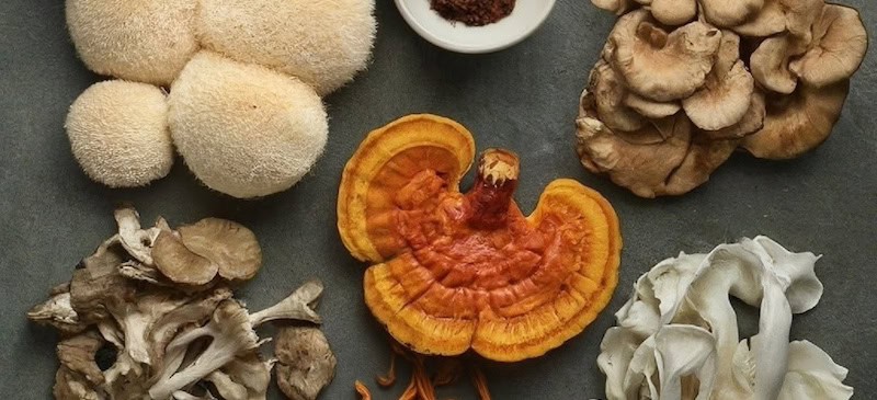Mushroom