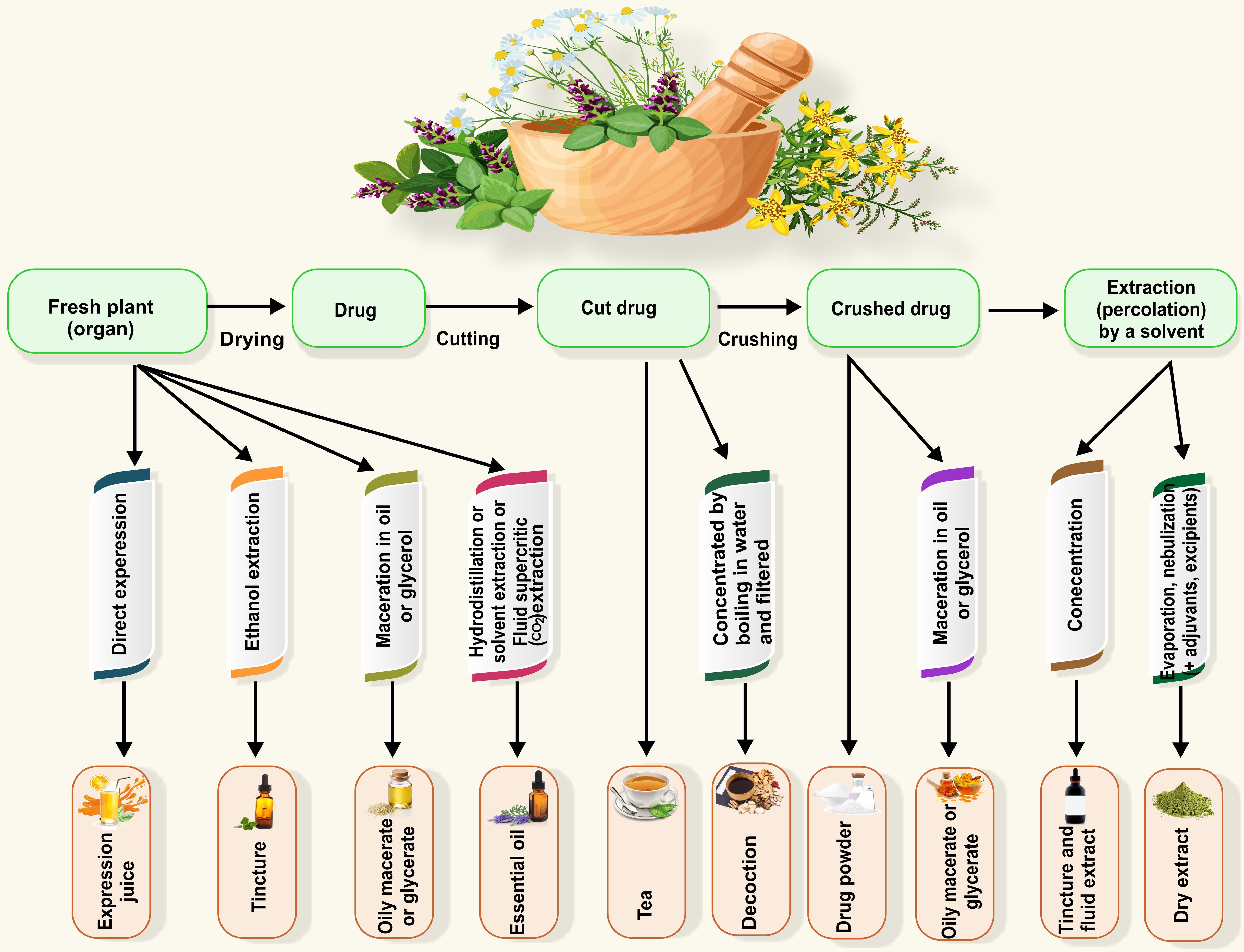Botany