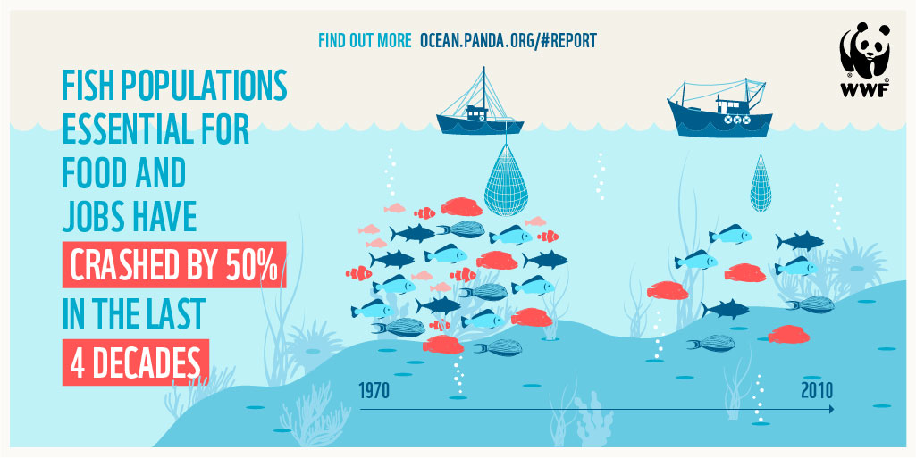 Ocean Fish Population Decline