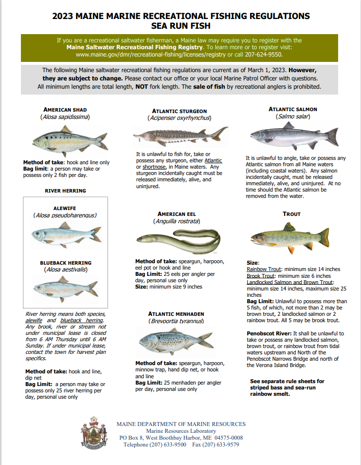 Fishing Regulations For Ocean Fish
