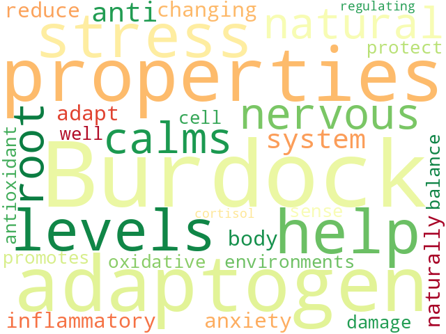 Word Cloud for burdock