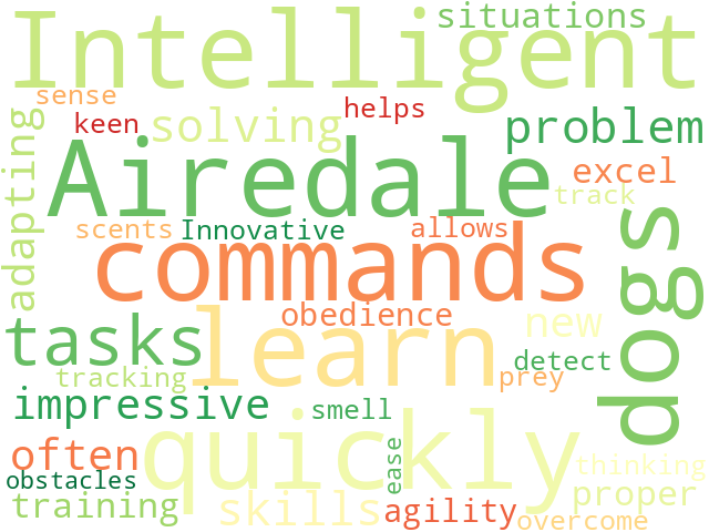Word Cloud for intelligent_dog