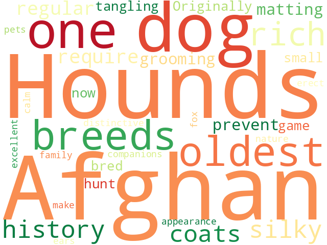Word Cloud for afghan_hound