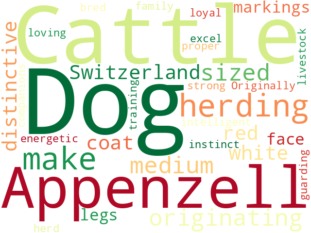 Word Cloud for appenzell_cattle_dog