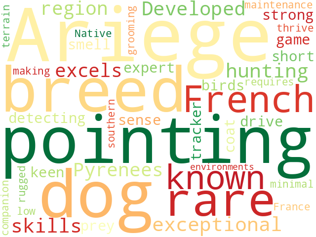 Word Cloud for ariege_pointing_dog