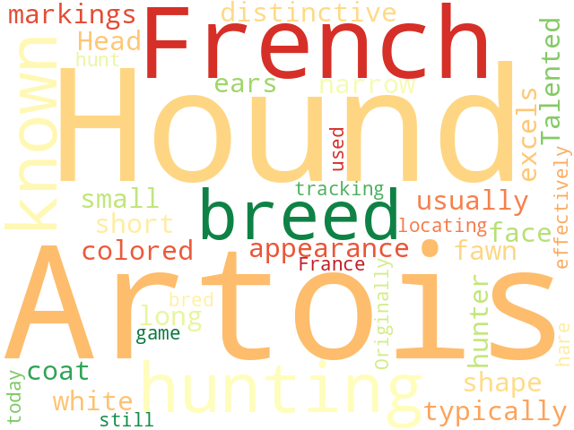 Word Cloud for artois_hound