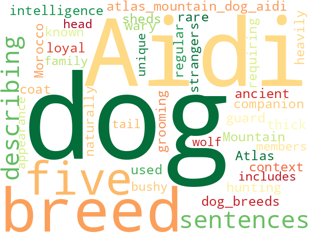 Word Cloud for atlas_mountain_dog_aidi