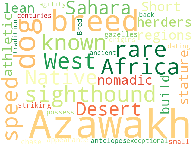 Word Cloud for azawakh
