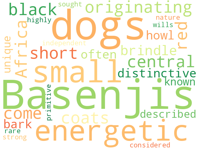 Word Cloud for basenji