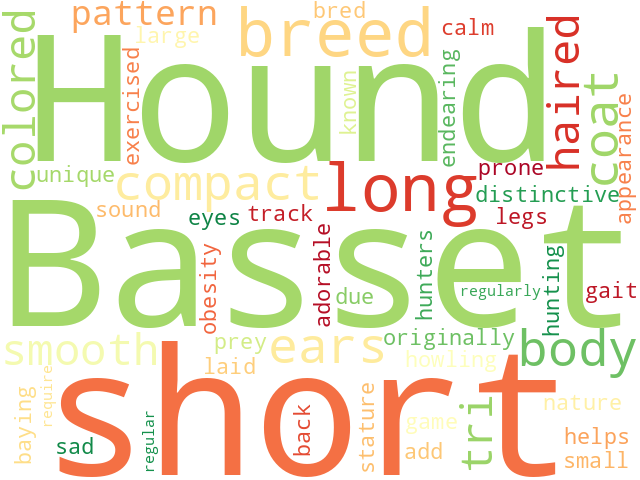 Word Cloud for basset_hound