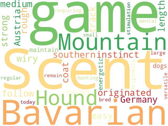 Word Cloud for bavarian_mountain_scent_hound