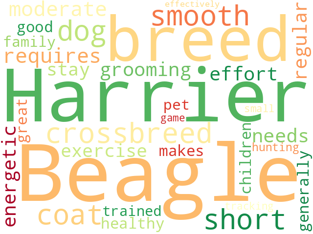 Word Cloud for beagle_harrier