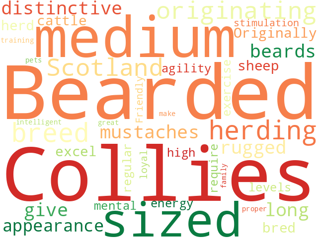 Word Cloud for bearded_collie