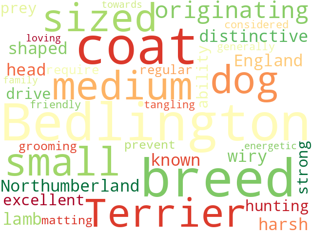 Word Cloud for bedlington_terrier