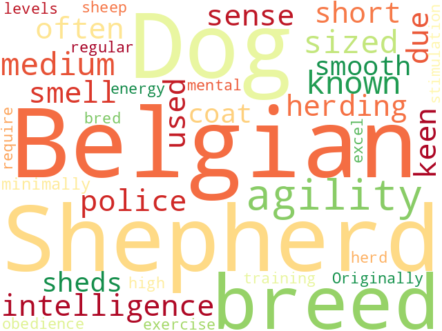 Word Cloud for belgian_shepherd_dog
