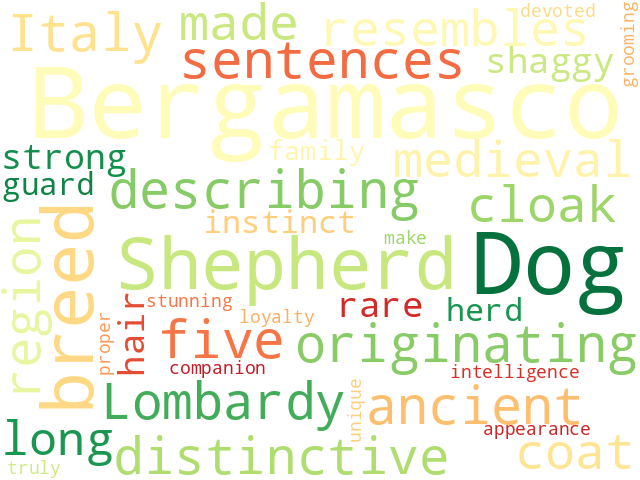 Word Cloud for bergamasco_shepherd_dog