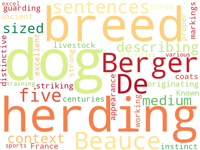 Word Cloud for berger_de_beauce