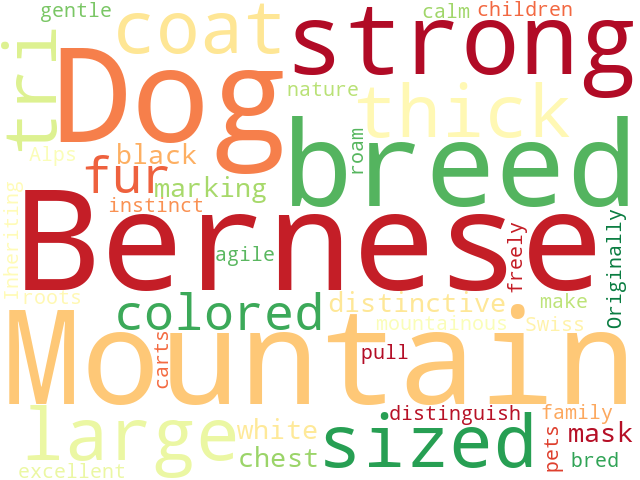 Word Cloud for bernese_mountain_dog