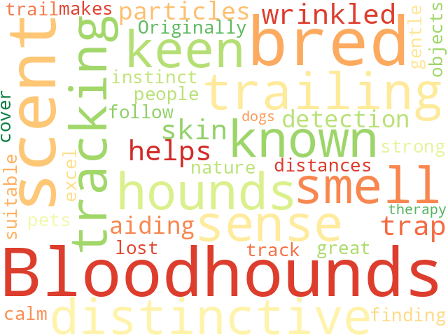 Word Cloud for bloodhound