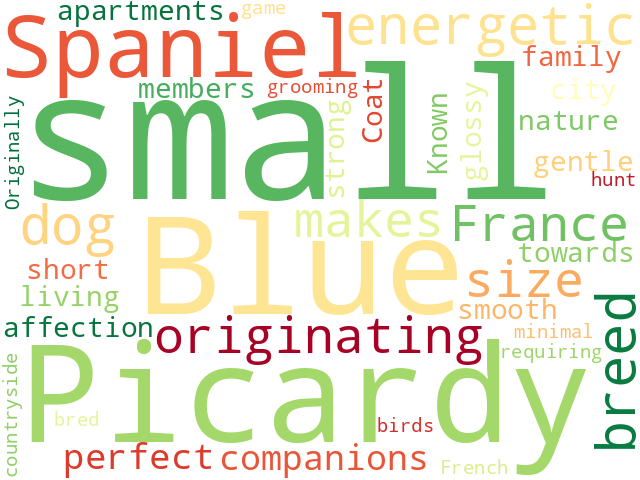 Word Cloud for blue_picardy_spaniel