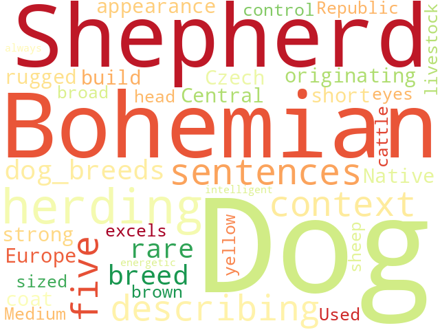 Word Cloud for bohemian_shepherd_dog