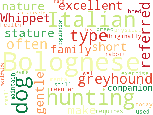 Word Cloud for bolognese