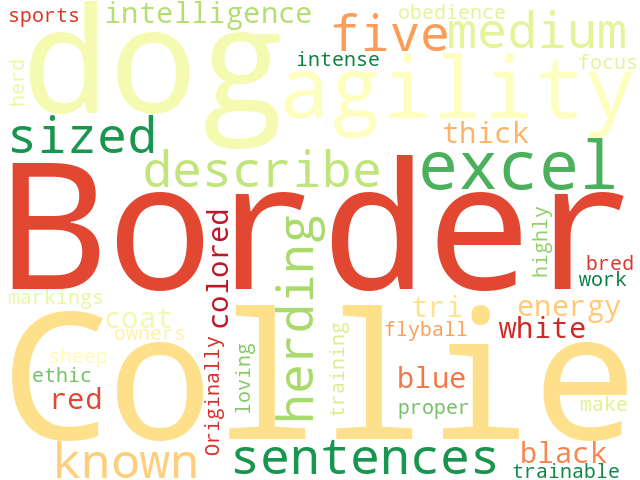 Word Cloud for border_collie