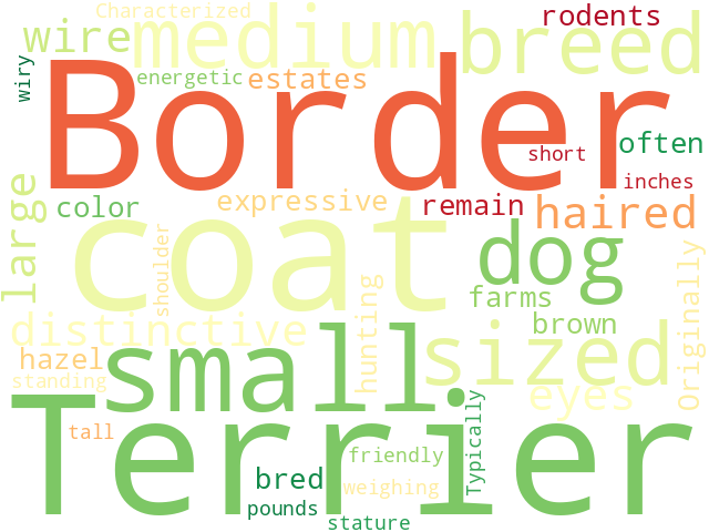 Word Cloud for border_terrier