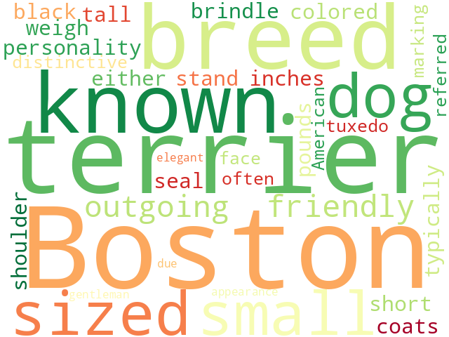 Word Cloud for boston_terrier