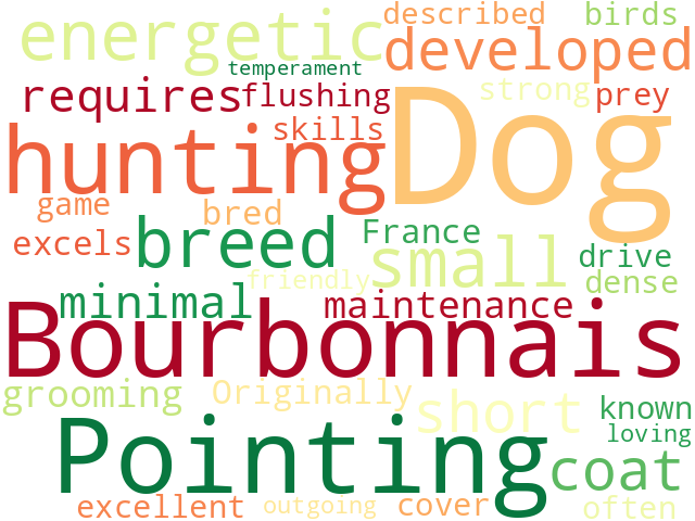 Word Cloud for bourbonnais_pointing_dog