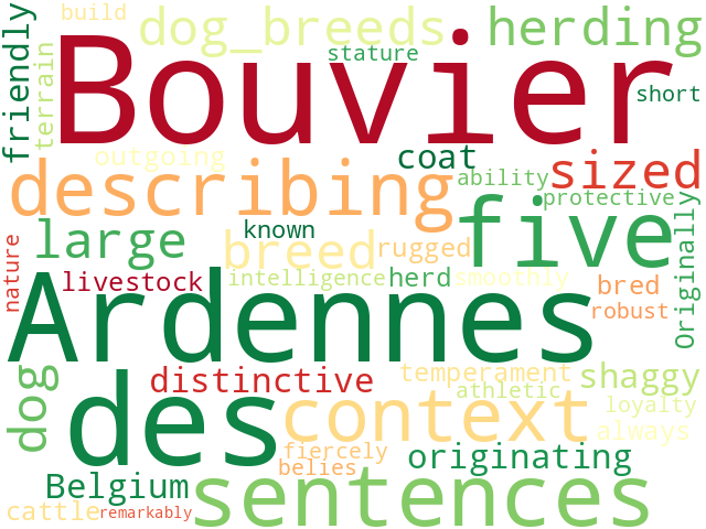 Word Cloud for bouvier_des_ardennes