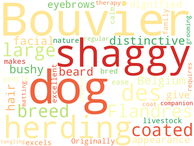 Word Cloud for bouvier_des_flandres