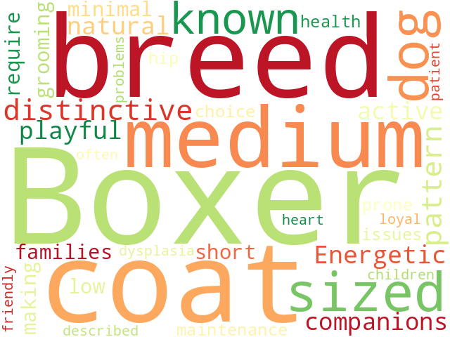 Word Cloud for boxer