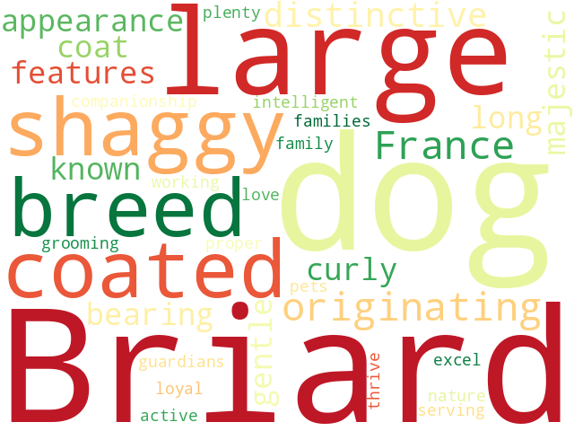 Word Cloud for briard
