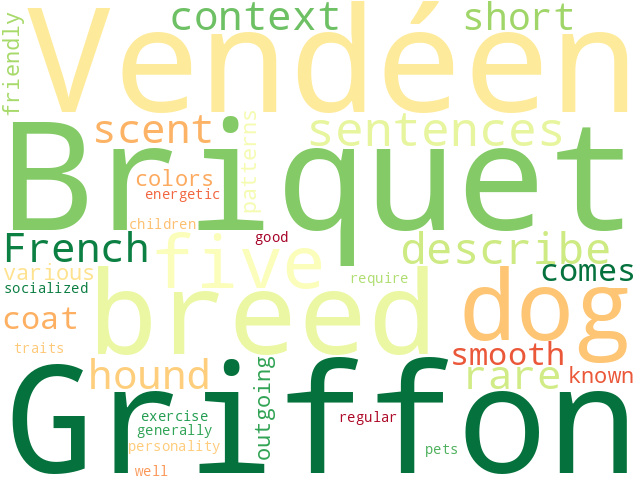 Word Cloud for briquet_griffon_vendeen