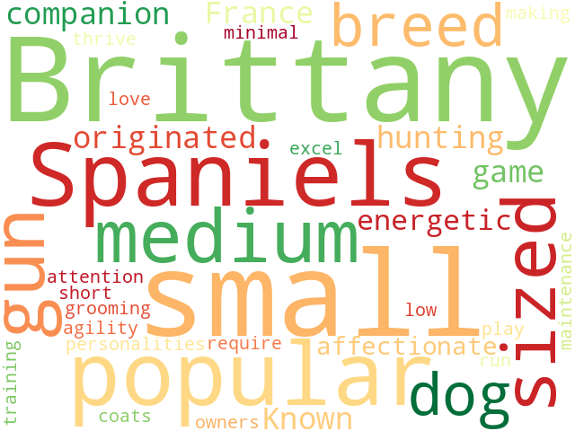 Word Cloud for brittany_spaniel