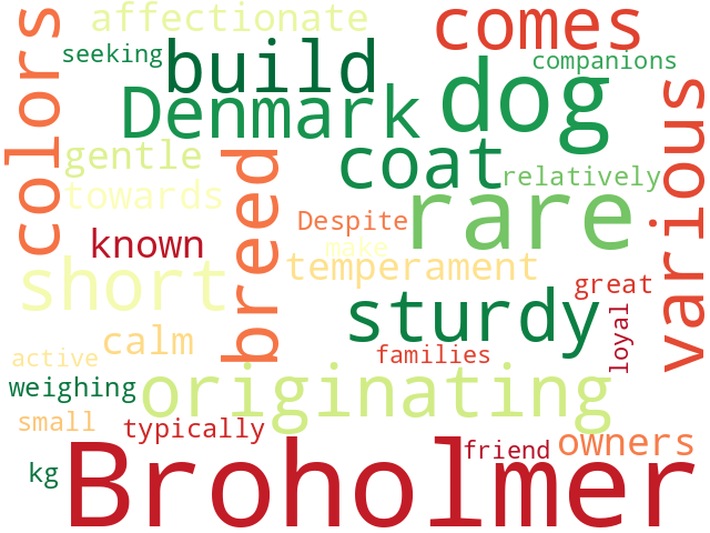 Word Cloud for broholmer