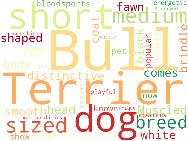 Word Cloud for bull_terrier