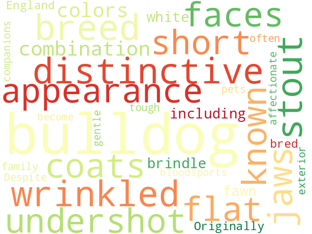 Word Cloud for bulldog