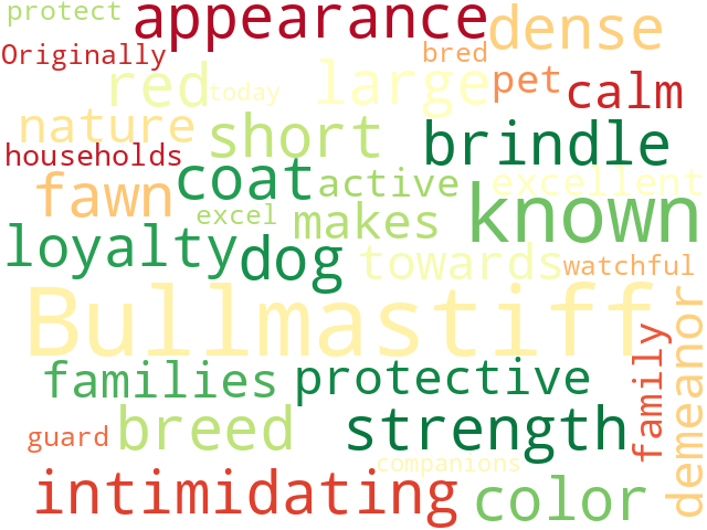 Word Cloud for bullmastiff