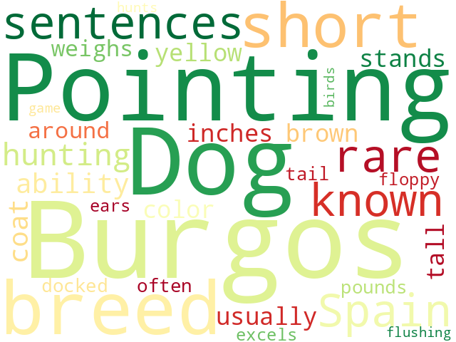 Word Cloud for burgos_pointing_dog