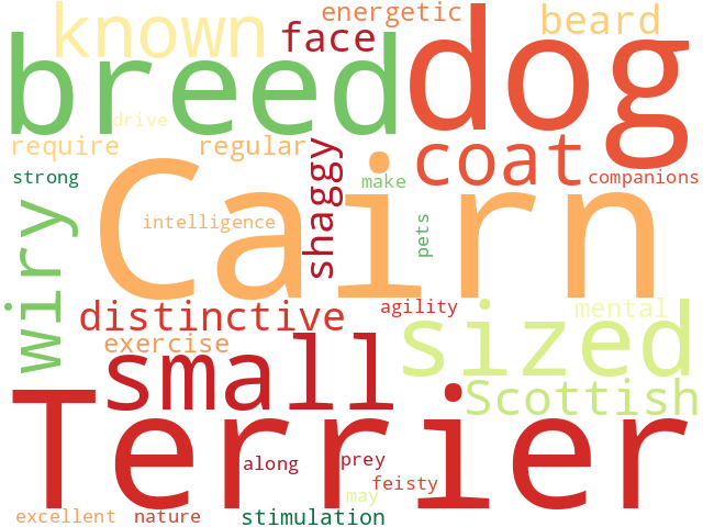 Word Cloud for cairn_terrier