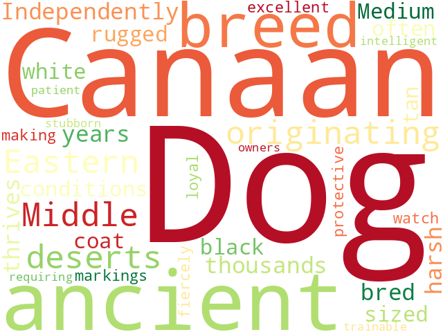 Word Cloud for canaan_dog