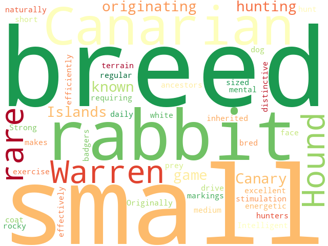 Word Cloud for canarian_warren_hound