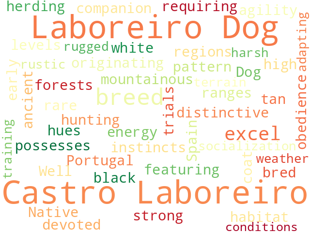 Word Cloud for castro_laboreiro_dog