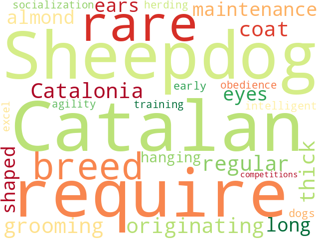 Word Cloud for catalan_sheepdog