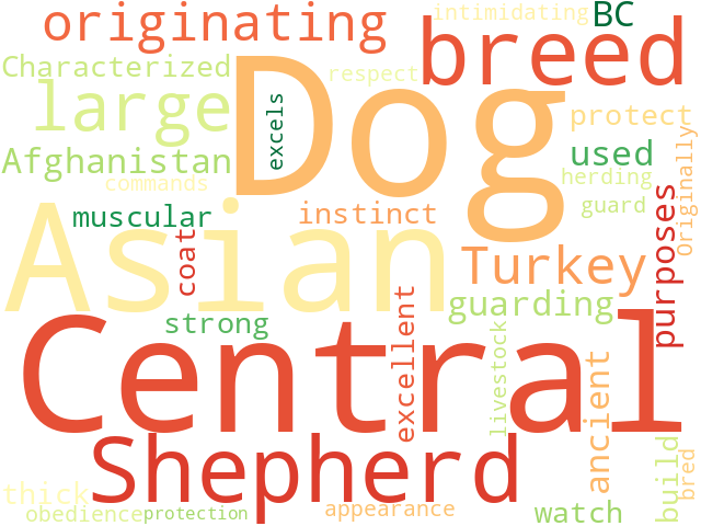 Word Cloud for central_asia_shepherd_dog