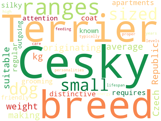 Word Cloud for cesky_terrier