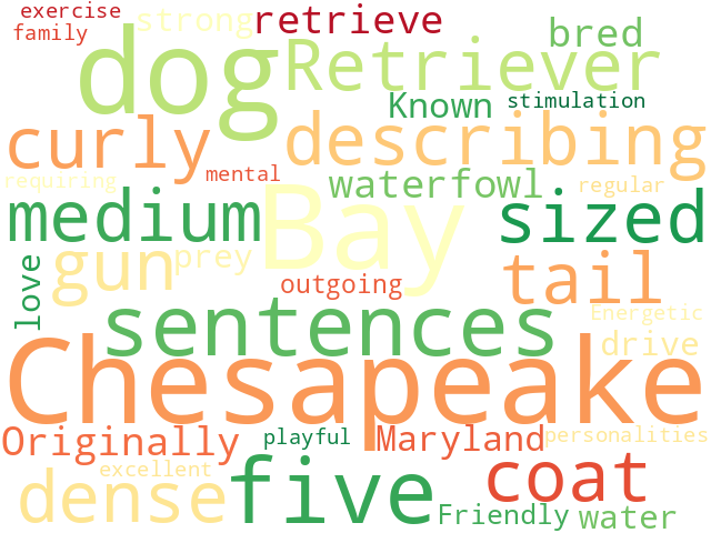 Word Cloud for chesapeake_bay_retriever